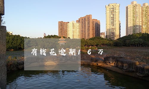 有钱花逾期16万 有钱花逾期16万
