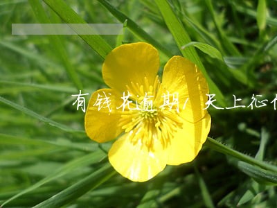 有钱花逾期1天上征信嘛 有钱花逾期1天上征信嘛
