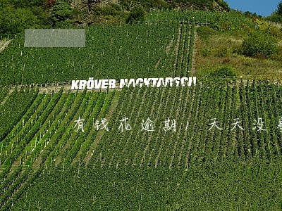 有钱花逾期1天天没事吧 有钱花逾期1天天没事吧