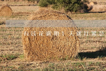 有钱花逾期1天就打紧急联系人 有钱花逾期1天就打紧急联系人