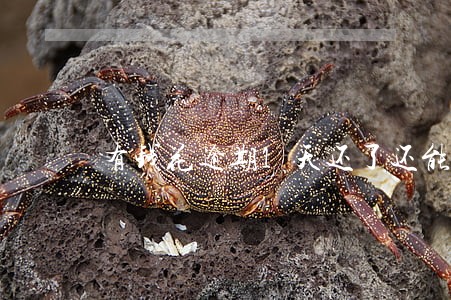 有钱花逾期1天还了还能借钱吗