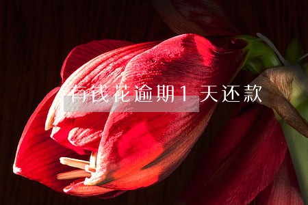 有钱花逾期1天还款 有钱花逾期1天还款