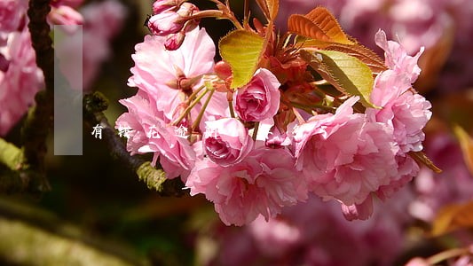 有钱花逾期1年多了 有钱花逾期1年多了