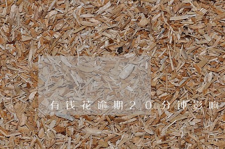 有钱花逾期20分钟影响大吗 有钱花逾期20分钟影响大吗