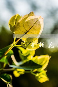有钱花逾期2天会怎么样 有钱花逾期2天会怎么样