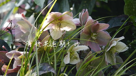 有钱花逾期3w 有钱花逾期3w