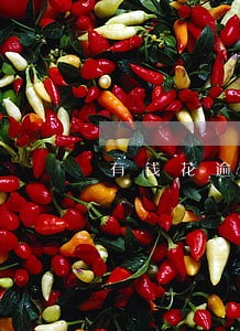 有钱花逾期3万一天 有钱花逾期3万一天