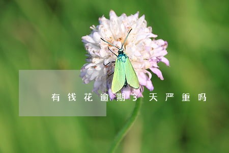 有钱花逾期3天严重吗 有钱花逾期3天严重吗