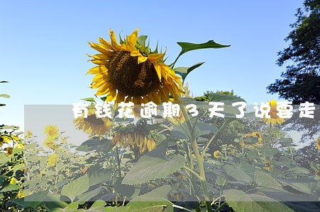 有钱花逾期3天了说要走访 有钱花逾期3天了说要走访