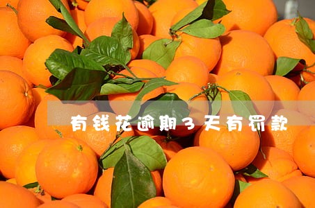 有钱花逾期3天有罚款 有钱花逾期3天有罚款