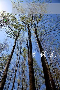 有钱花逾期3年亲身经历 有钱花逾期3年亲身经历
