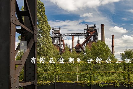 有钱花逾期4分钟会上征信吗 有钱花逾期4分钟会上征信吗