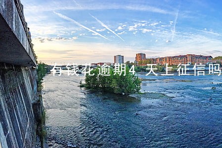 有钱花逾期4天上征信吗 有钱花逾期4天上征信吗