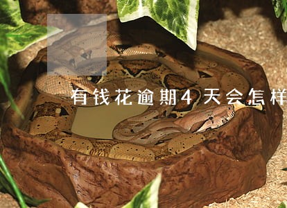 有钱花逾期4天会怎样 有钱花逾期4天会怎样