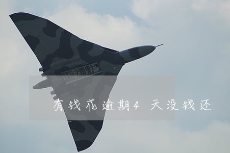 有钱花逾期4天没钱还 有钱花逾期4天没钱还