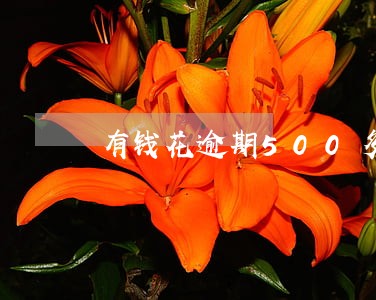 有钱花逾期500多天 有钱花逾期500多天