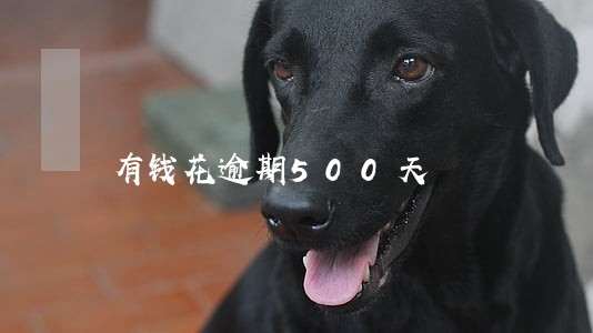 有钱花逾期500天