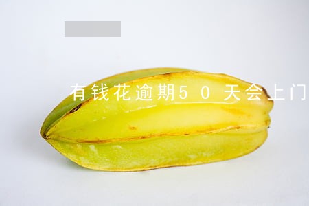 有钱花逾期50天会上门催收吗 有钱花逾期50天会上门催收吗