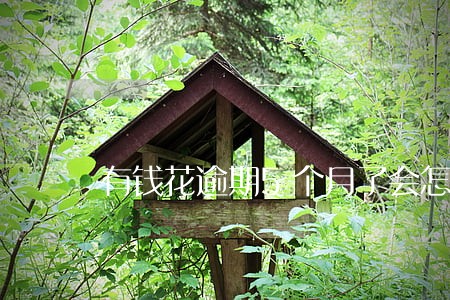有钱花逾期5个月了会怎么样 有钱花逾期5个月了会怎么样