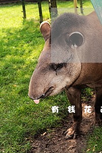 有钱花逾期5天影响征信吗 有钱花逾期5天影响征信吗