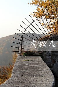 有钱花逾期6天说升级处理 有钱花逾期6天说升级处理