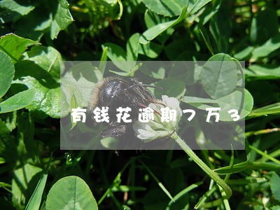 有钱花逾期7万3 有钱花逾期7万3