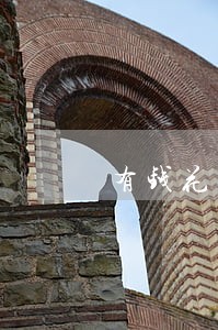 有钱花逾期7个月了没钱还怎么办 有钱花逾期7个月了没钱还怎么办