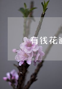 有钱花逾期7天还完还能借吗 有钱花逾期7天还完还能借吗