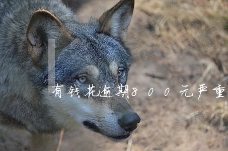 有钱花逾期800元严重吗 有钱花逾期800元严重吗