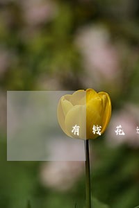 有钱花逾期90多天 有钱花逾期90多天