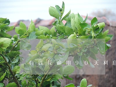 有钱花逾期90天利息好高 有钱花逾期90天利息好高