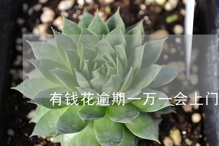 有钱花逾期一万一会上门吗 有钱花逾期一万一会上门吗