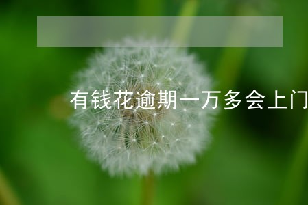 有钱花逾期一万多会上门 有钱花逾期一万多会上门