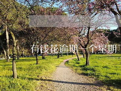 有钱花逾期一个星期了还联系亲人 有钱花逾期一个星期了还联系亲人