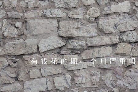 有钱花逾期一个月严重吗 有钱花逾期一个月严重吗