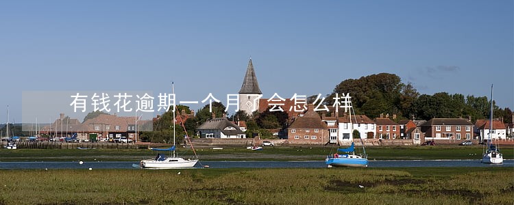 有钱花逾期一个月了会怎么样 有钱花逾期一个月了会怎么样