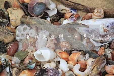 有钱花逾期一个月了还能借么 有钱花逾期一个月了还能借么