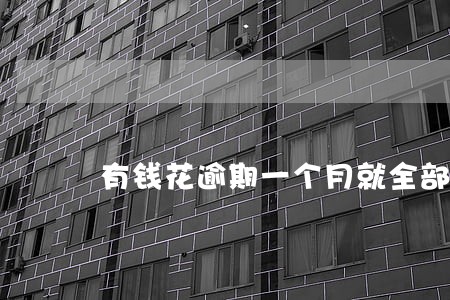 有钱花逾期一个月就全部还款 有钱花逾期一个月就全部还款