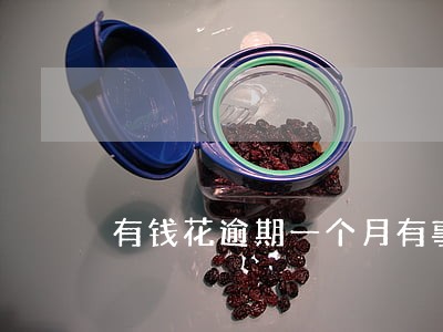 有钱花逾期一个月有事吗 有钱花逾期一个月有事吗