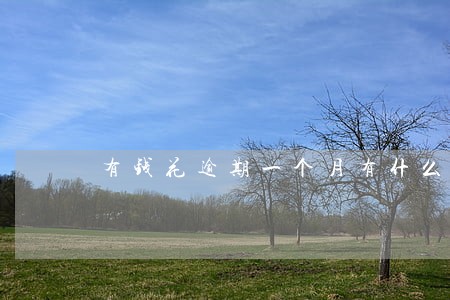 有钱花逾期一个月有什么影响 有钱花逾期一个月有什么影响