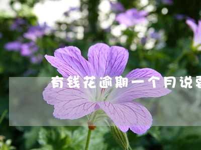 有钱花逾期一个月说要告我 有钱花逾期一个月说要告我