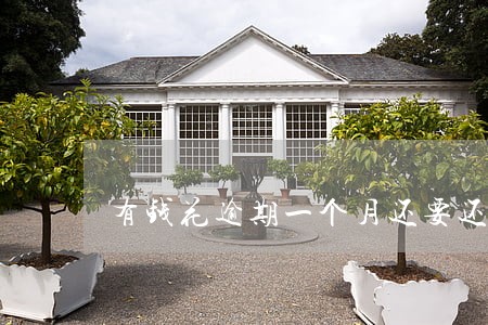有钱花逾期一个月还要还 有钱花逾期一个月还要还
