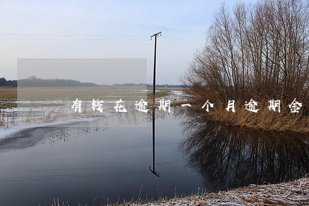 有钱花逾期一个月逾期金多少 有钱花逾期一个月逾期金多少