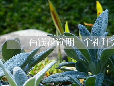有钱花逾期一个礼拜会怎么样 有钱花逾期一个礼拜会怎么样
