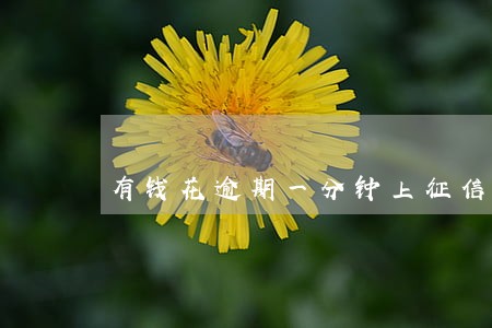 有钱花逾期一分钟上征信吗 有钱花逾期一分钟上征信吗