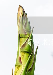 有钱花逾期一周上门 有钱花逾期一周上门