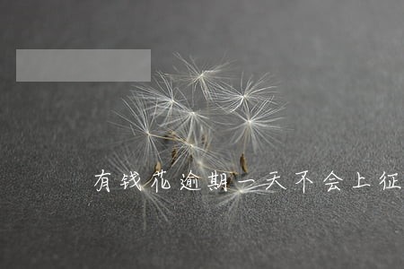 有钱花逾期一天不会上征信 有钱花逾期一天不会上征信