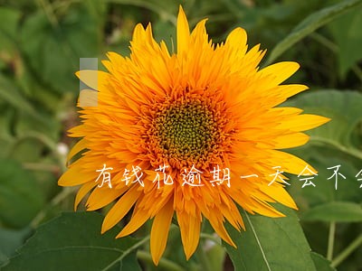 有钱花逾期一天会不会联系好友 有钱花逾期一天会不会联系好友