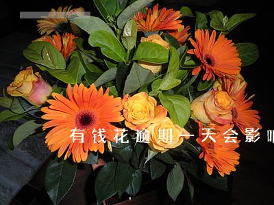 有钱花逾期一天会影响征信吗 有钱花逾期一天会影响征信吗