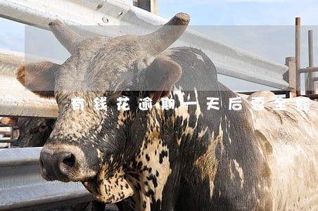 有钱花逾期一天后要全额还清 有钱花逾期一天后要全额还清